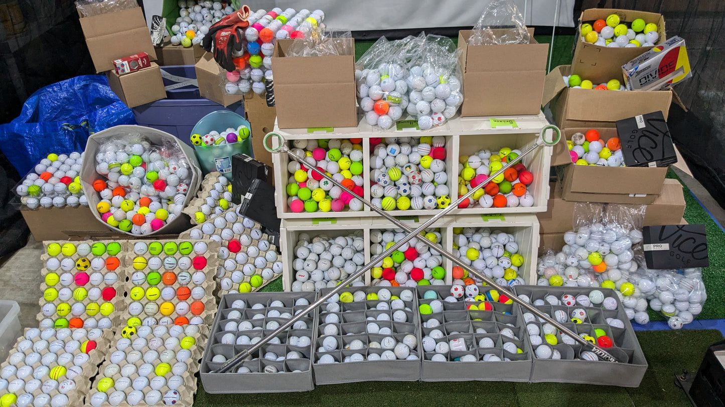 Hunted Golf Balls by Model