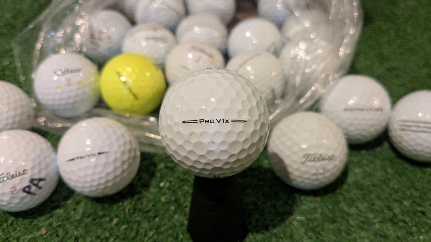 Hunted Golf Balls by Model