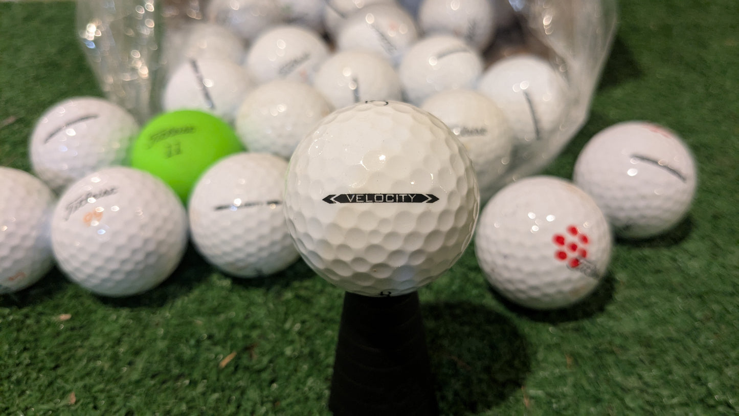 Hunted Golf Balls by Model