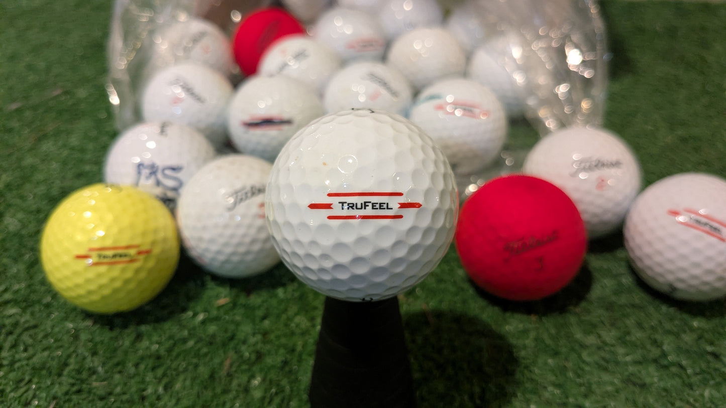 Hunted Golf Balls by Model