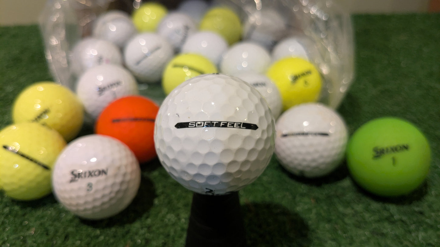 Hunted Golf Balls by Model
