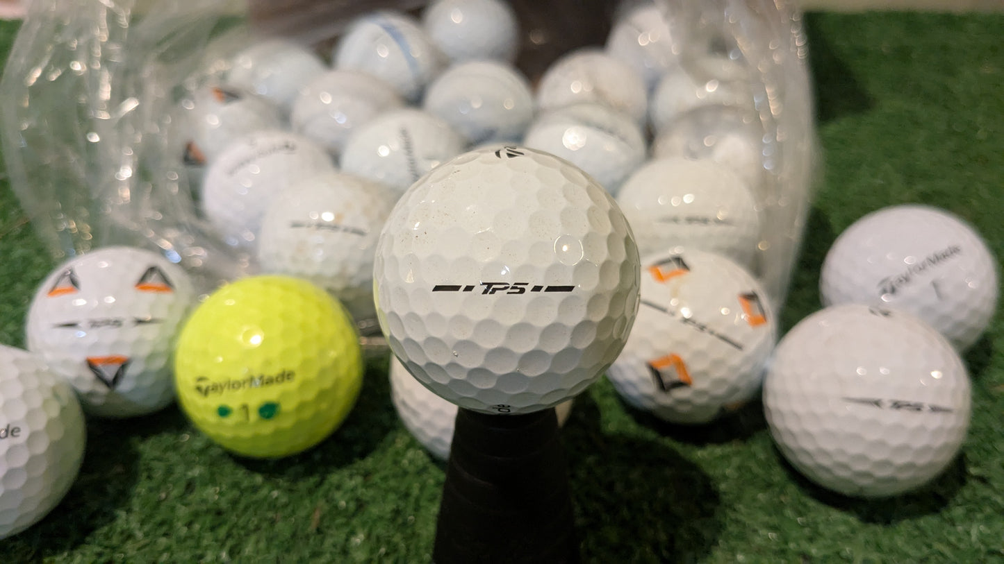 Hunted Golf Balls by Model