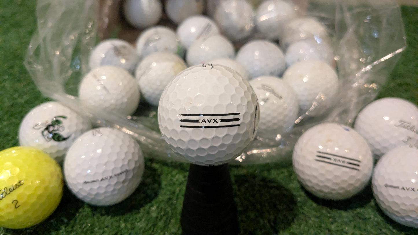 Hunted Golf Balls by Model