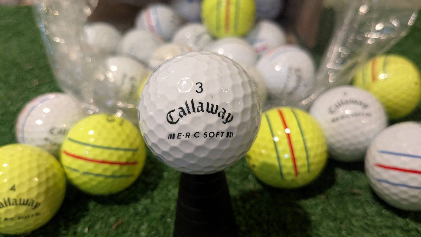 Hunted Golf Balls by Model